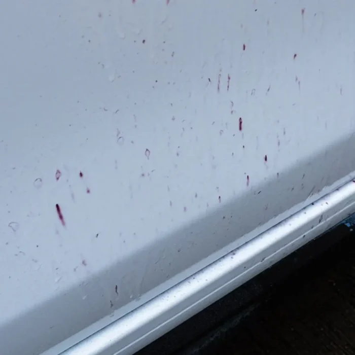 Antiskouriako_Dr_Wack_3-1000x1000-1