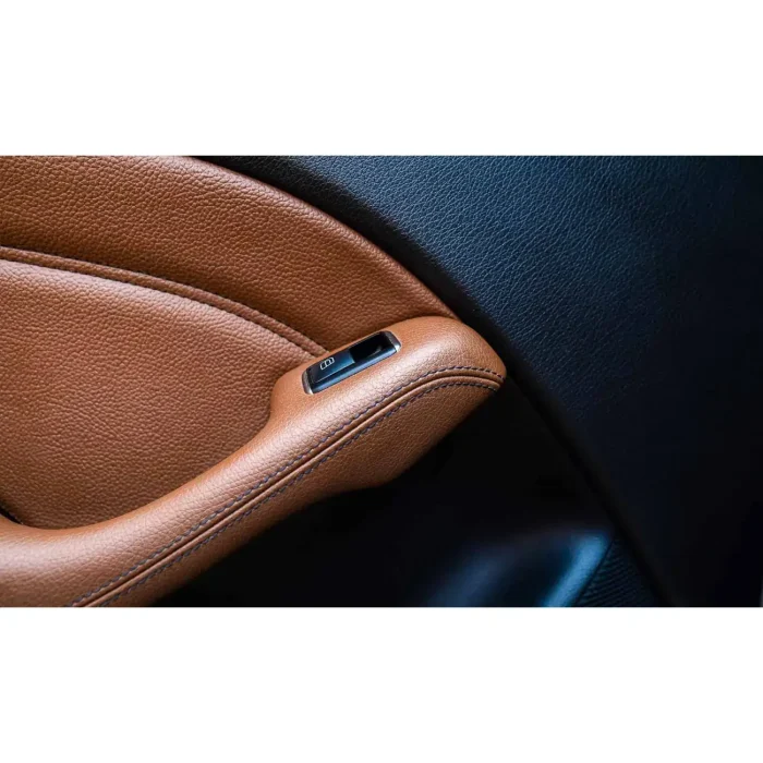 carbonax-leather-cleaner-leather-6177c13170a8e