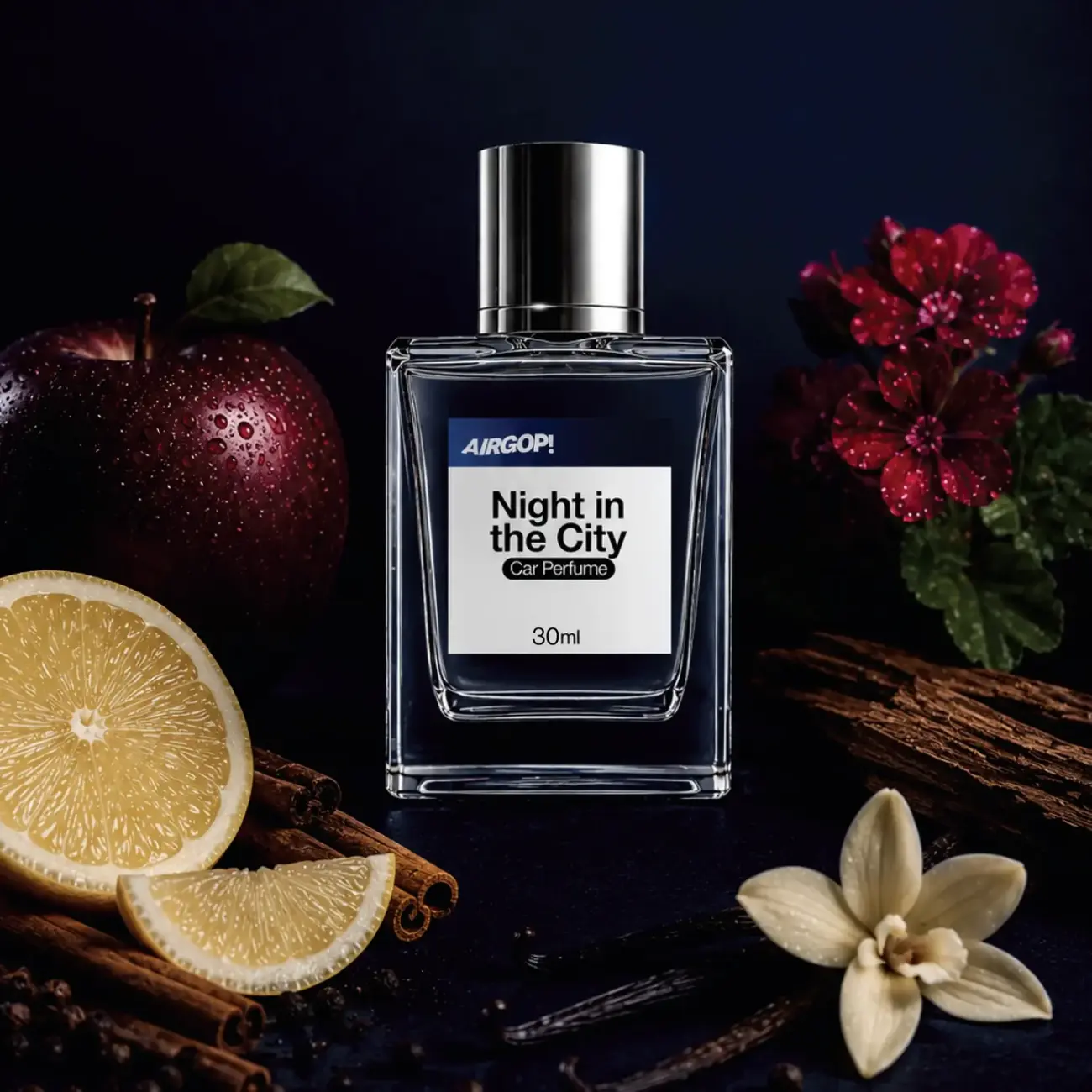 Αρωματικό Σπρέι Αυτοκινήτου Airgop Car Perfume 30ml – Night in the City